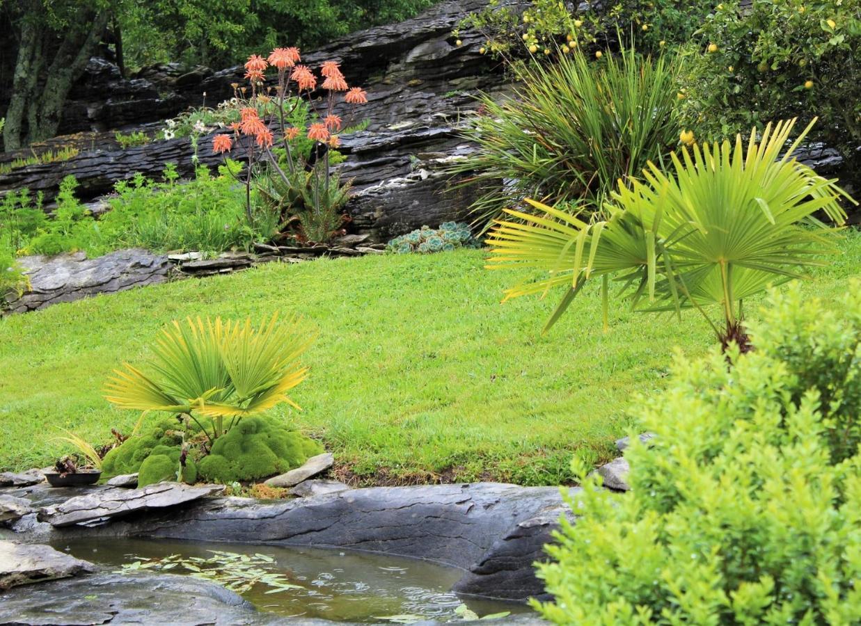 Labyrinth Gardens Guest House Takaka Exteriér fotografie